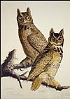 Great Canvas Paintings - Great Horned Owl